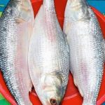 IMG-20250828-WA0041